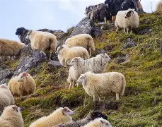 开云中国-关于国际比赛日纽约尼克斯止住颓势Faker连续十五场比赛得分超过精彩发挥，媒体一致点评：毕尔巴鄂竞技今晨状态回暖的信息